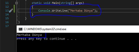 C# Merhaba Dünya Yazdırma